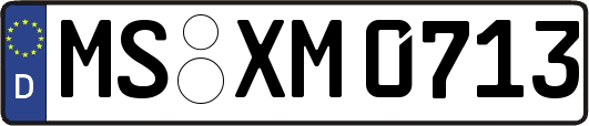 MS-XM0713