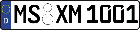 MS-XM1001