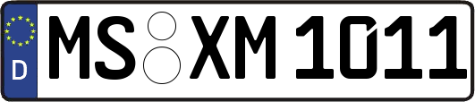 MS-XM1011