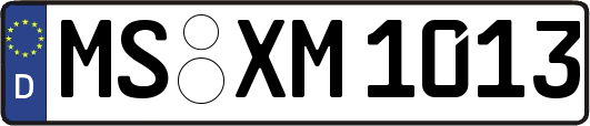 MS-XM1013