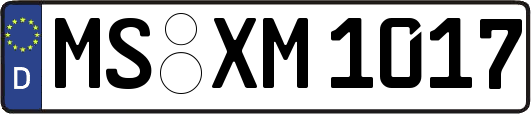 MS-XM1017