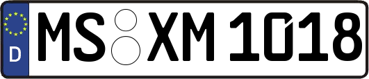 MS-XM1018