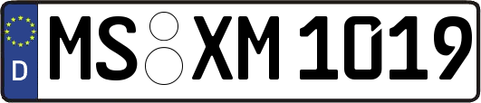 MS-XM1019