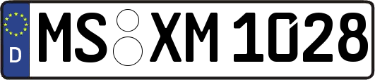 MS-XM1028