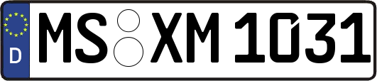 MS-XM1031