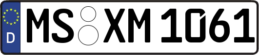 MS-XM1061