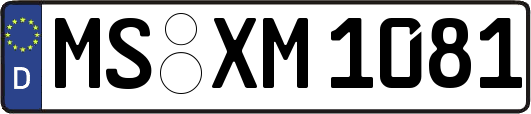 MS-XM1081