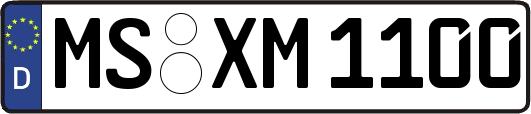 MS-XM1100