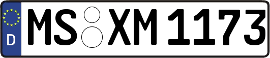 MS-XM1173