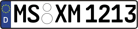 MS-XM1213