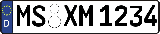 MS-XM1234