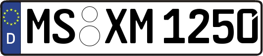 MS-XM1250