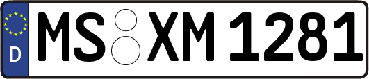 MS-XM1281
