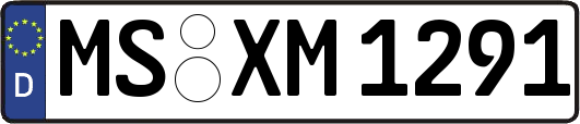 MS-XM1291
