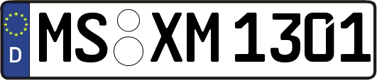 MS-XM1301