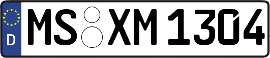 MS-XM1304