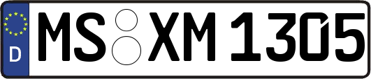 MS-XM1305