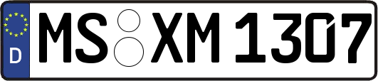 MS-XM1307