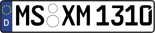 MS-XM1310