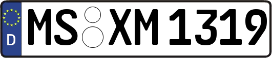 MS-XM1319