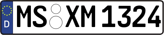 MS-XM1324