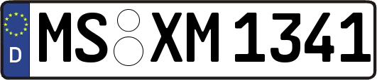 MS-XM1341