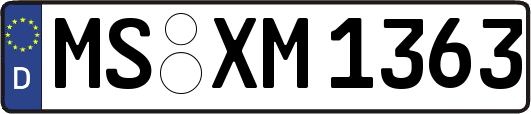MS-XM1363