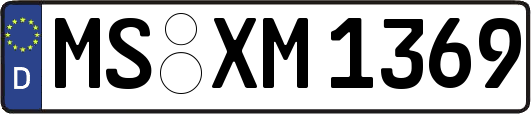 MS-XM1369