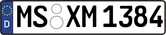 MS-XM1384