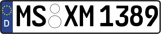 MS-XM1389