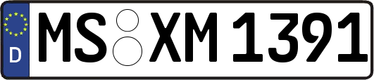 MS-XM1391