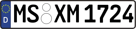 MS-XM1724