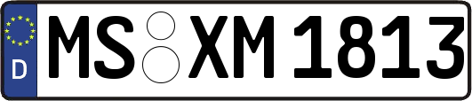 MS-XM1813