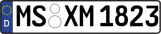 MS-XM1823