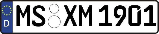 MS-XM1901