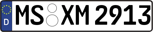 MS-XM2913
