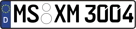 MS-XM3004