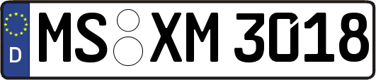 MS-XM3018