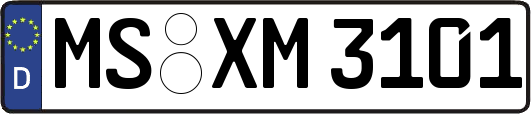 MS-XM3101