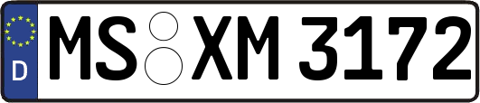 MS-XM3172