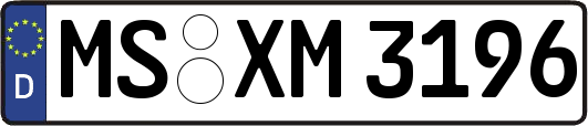 MS-XM3196