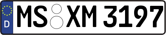 MS-XM3197