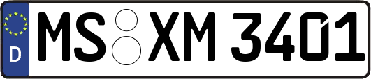 MS-XM3401