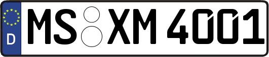MS-XM4001