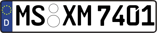 MS-XM7401