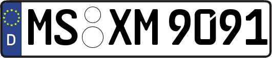 MS-XM9091