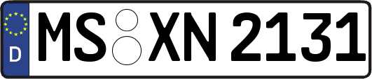 MS-XN2131