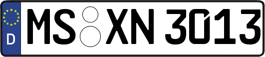 MS-XN3013