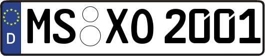 MS-XO2001