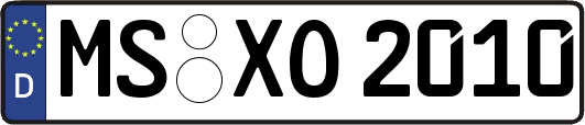 MS-XO2010